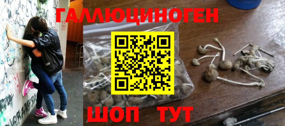Псилоцибиновые грибы ЛСД  Вход с VPN  Улан-Удэ 