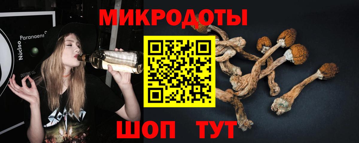 Псилоцибиновые грибы прущие грибы Улан-Удэ